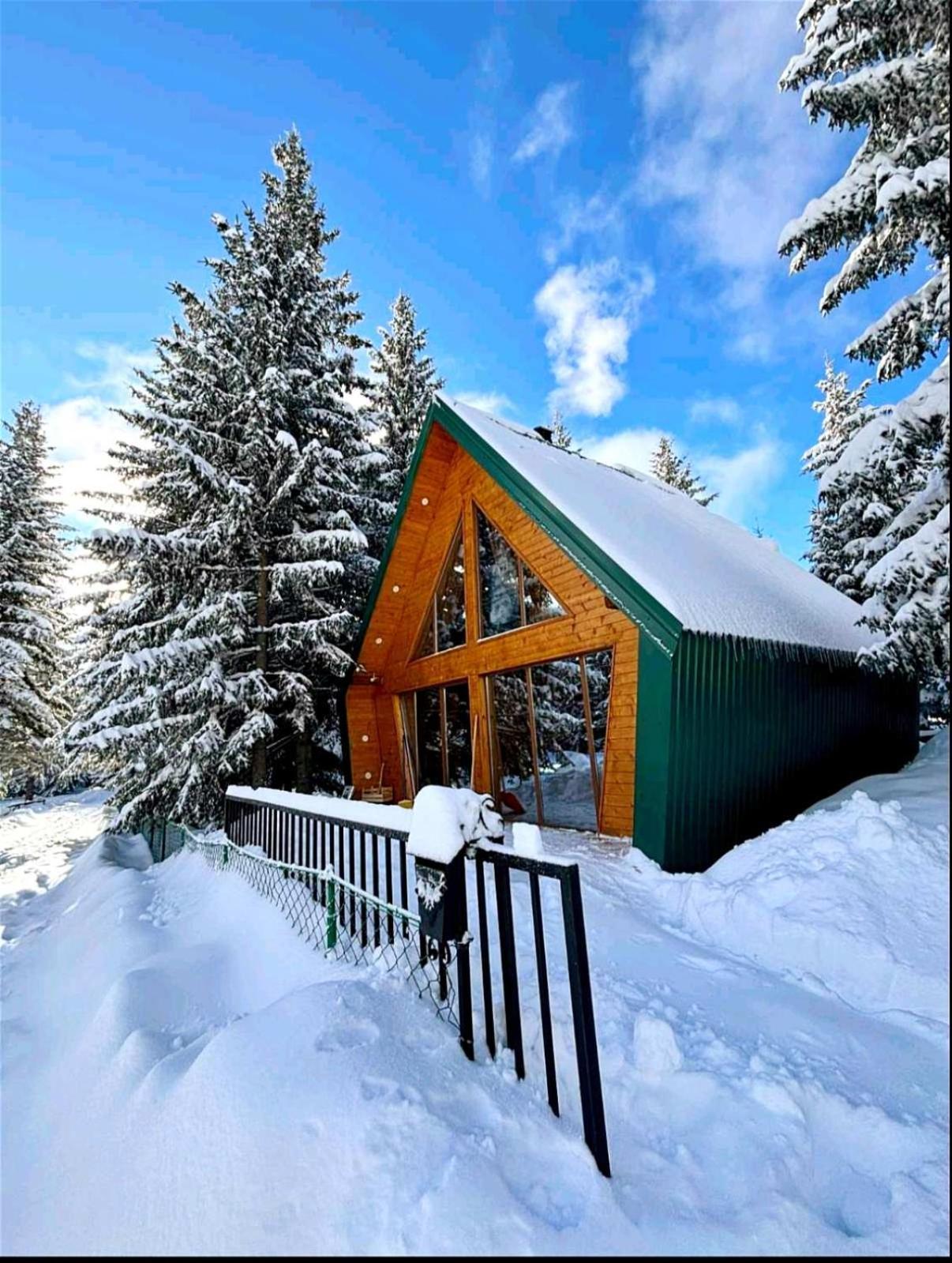 1 Zabljak (Zabljak)